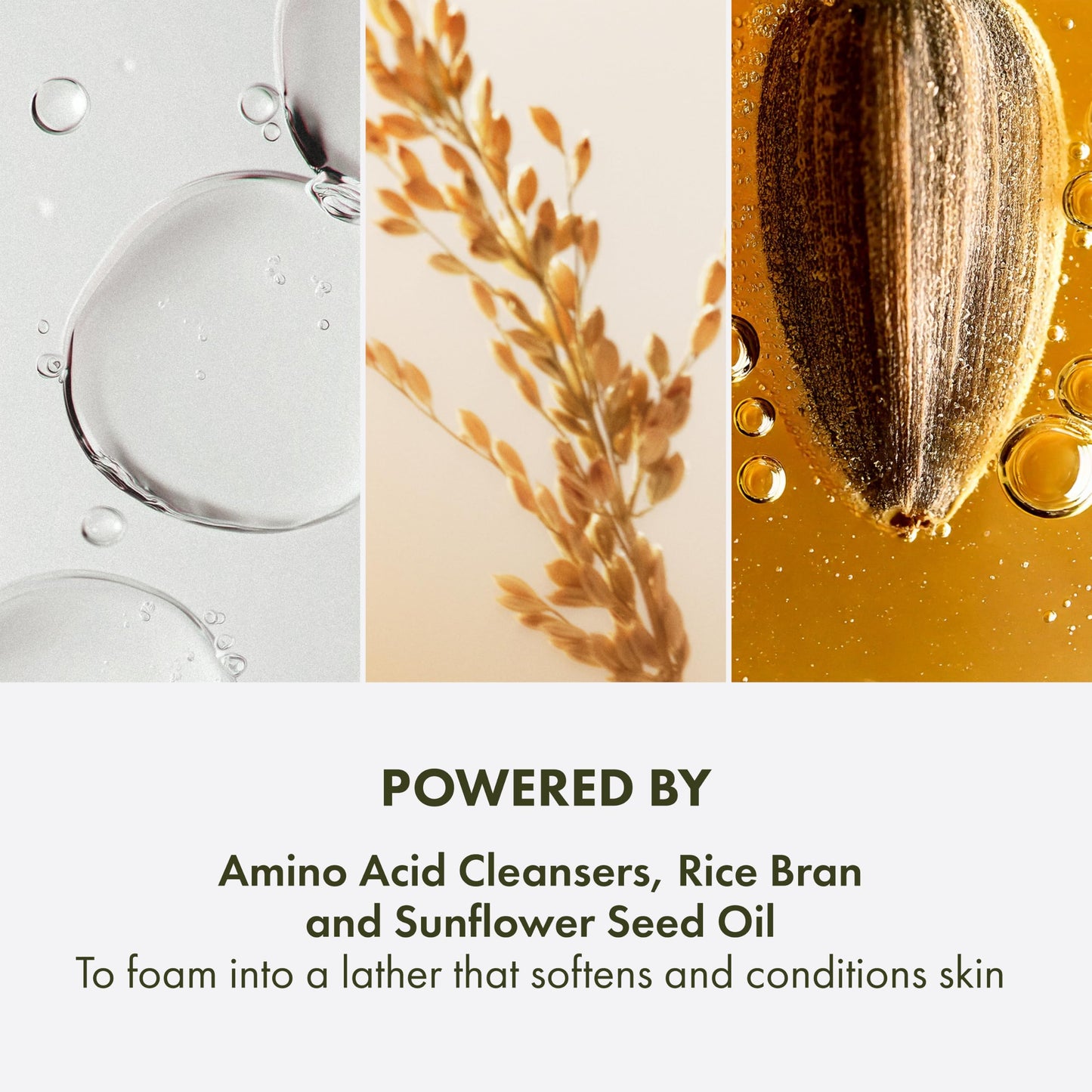 Origins Checks and Balances Frothy Face Wash