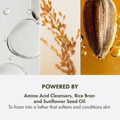 Origins Checks and Balances Frothy Face Wash
