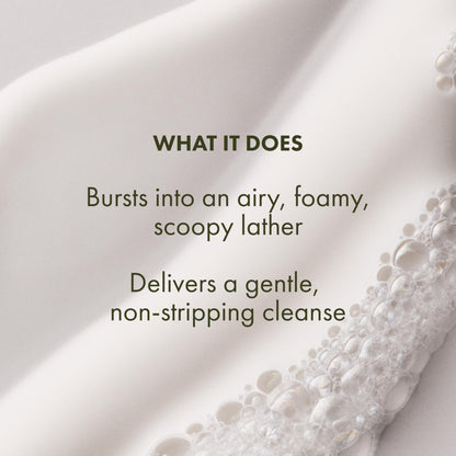 Origins Checks and Balances Frothy Face Wash
