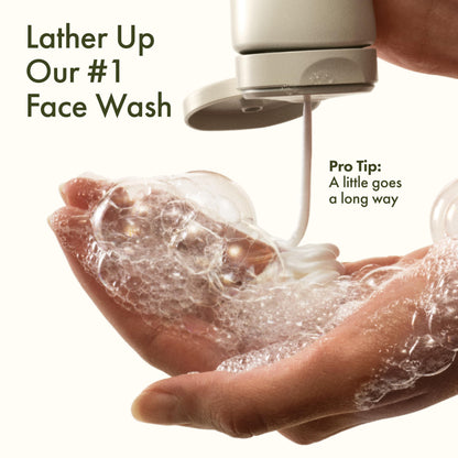 Origins Checks and Balances Frothy Face Wash