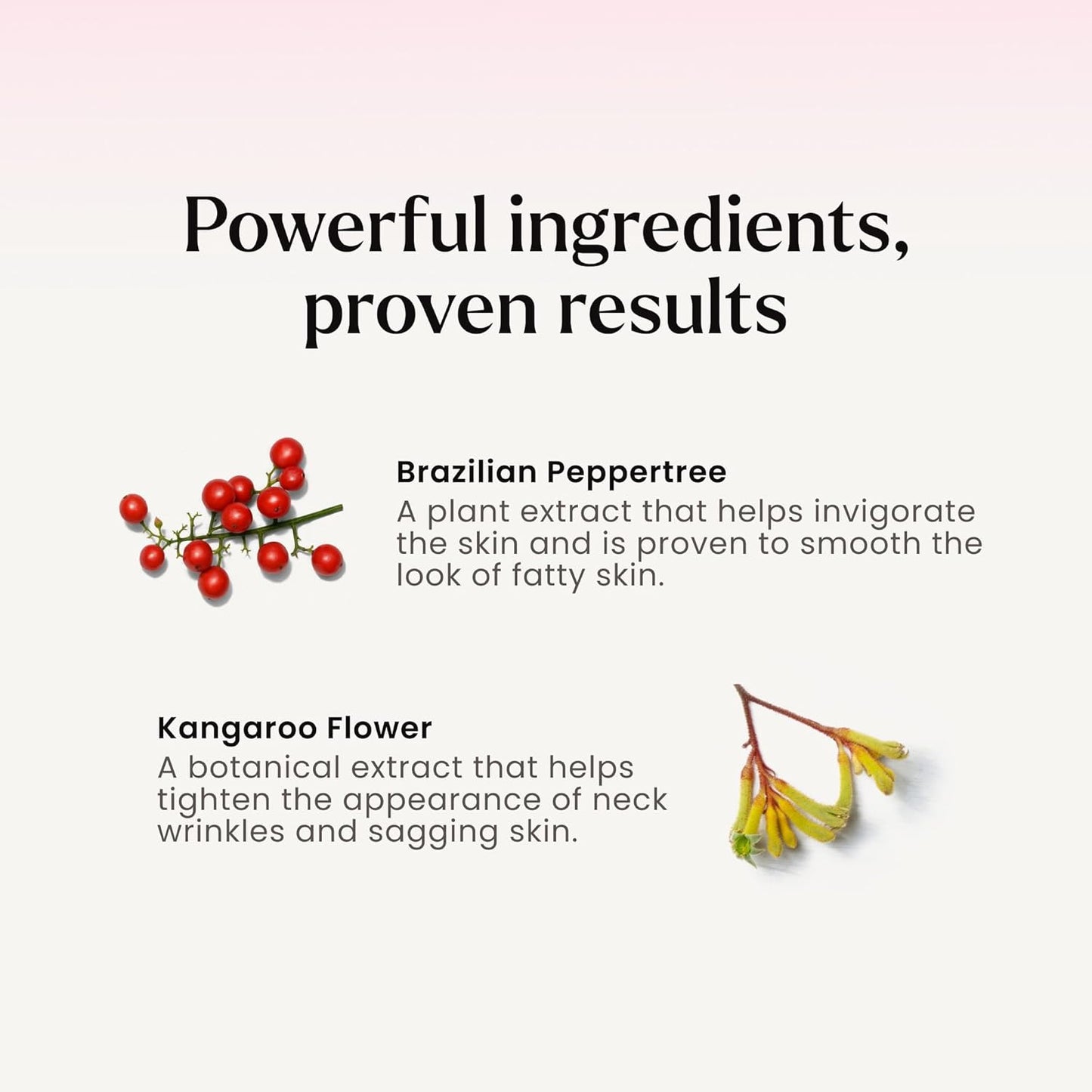 MAELYS B-POISED Neck Firming Cream